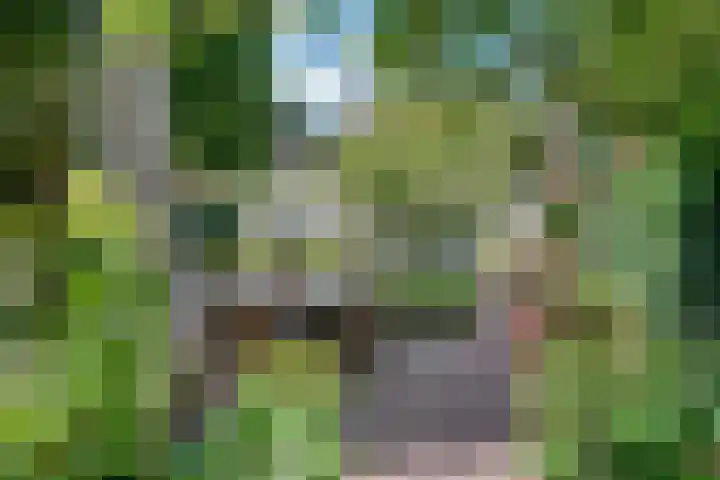 Oude Bredaseweg 116 Etten-Leur thumbnail 56