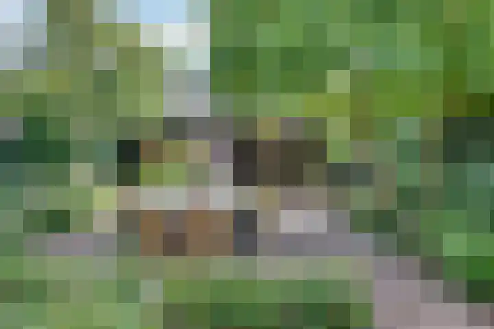Oude Bredaseweg 116 Etten-Leur thumbnail 60
