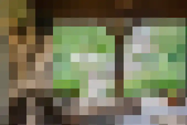 Oude Bredaseweg 116 Etten-Leur thumbnail 61