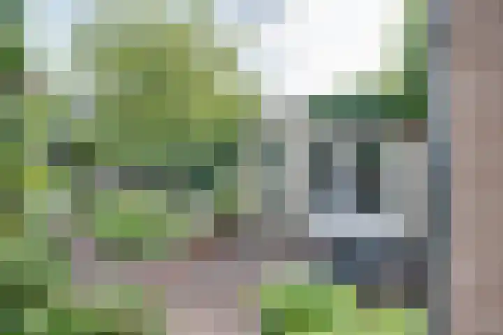 Oude Bredaseweg 116 Etten-Leur thumbnail 68
