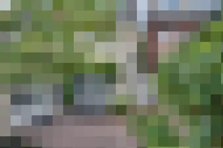 Oude Bredaseweg 116 Etten-Leur thumbnail 69