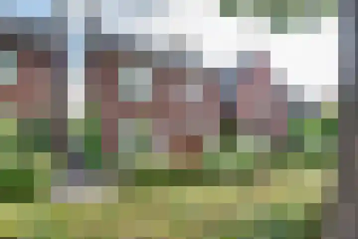 Oude Bredaseweg 116 Etten-Leur thumbnail 71