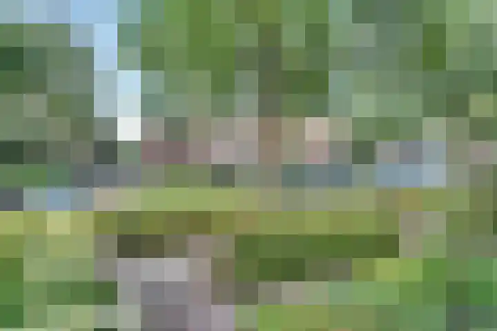 Oude Bredaseweg 116 Etten-Leur thumbnail 72