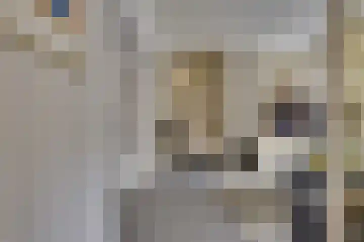 Oude Bredaseweg 116 Etten-Leur thumbnail 8