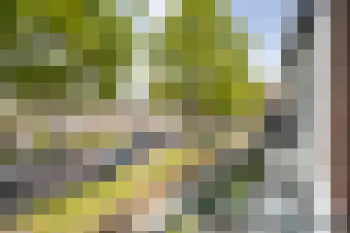Oude Bredaseweg 140 Etten-Leur thumbnail 28