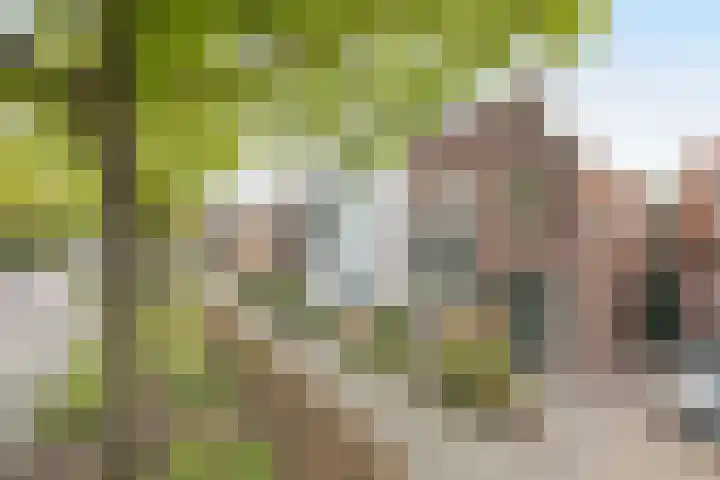 Oude Bredaseweg 140 Etten-Leur thumbnail 39