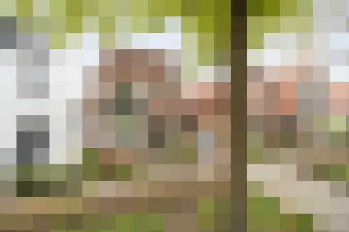 Oude Bredaseweg 140 Etten-Leur thumbnail 5