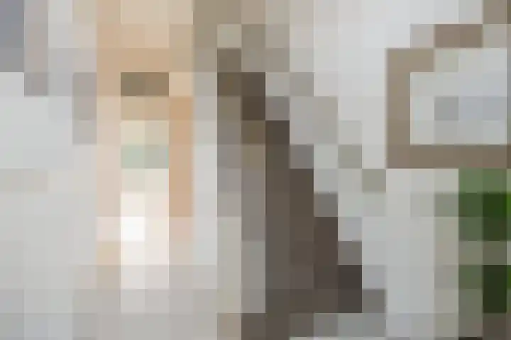 Oude Bredaseweg 140 Etten-Leur thumbnail 7