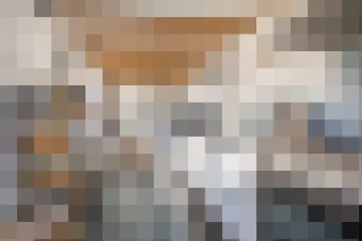 Oude Bredaseweg 15 Bavel thumbnail 18