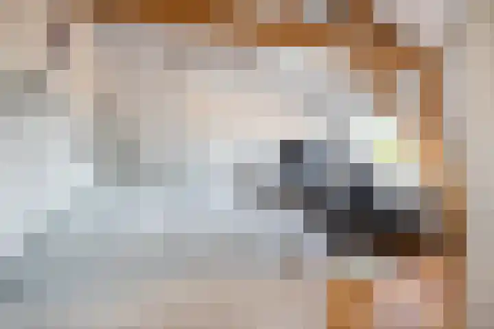 Oude Bredaseweg 15 Bavel thumbnail 24