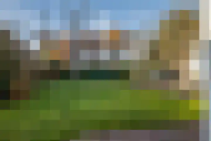 Oude Bredaseweg 15 Bavel thumbnail 33