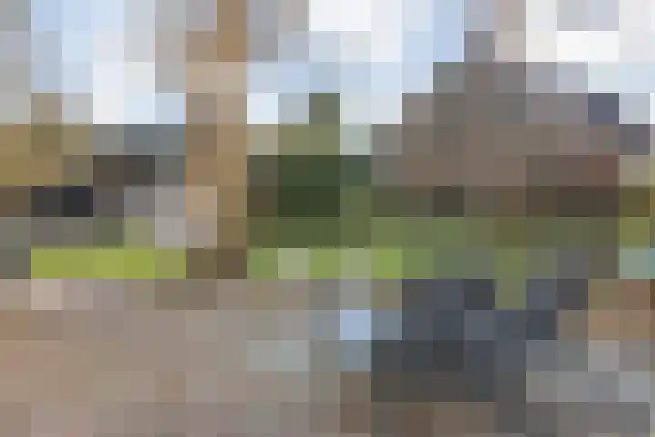 Oude Bredaseweg 15 Bavel thumbnail 37