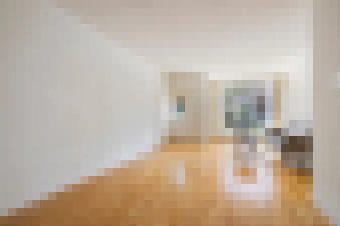 Oude Bredaseweg 35 B Etten-Leur thumbnail 7
