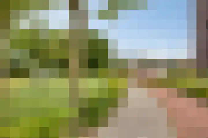 Oude Bredaseweg 52 B Etten-Leur thumbnail 38