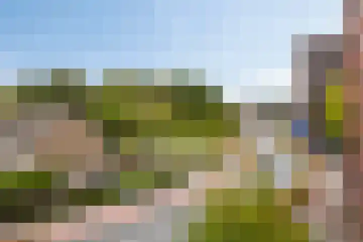 Oude Bredaseweg 52 B Etten-Leur thumbnail 39
