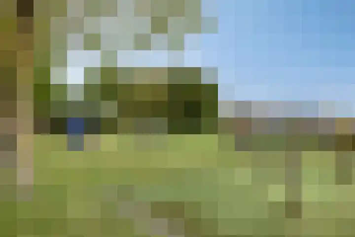 Oude Bredaseweg 52 B Etten-Leur thumbnail 40