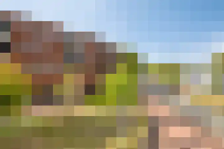 Oude Bredaseweg 52 B Etten-Leur thumbnail 42