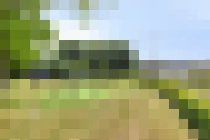 Oude Bredaseweg 54 A Etten-Leur thumbnail 32