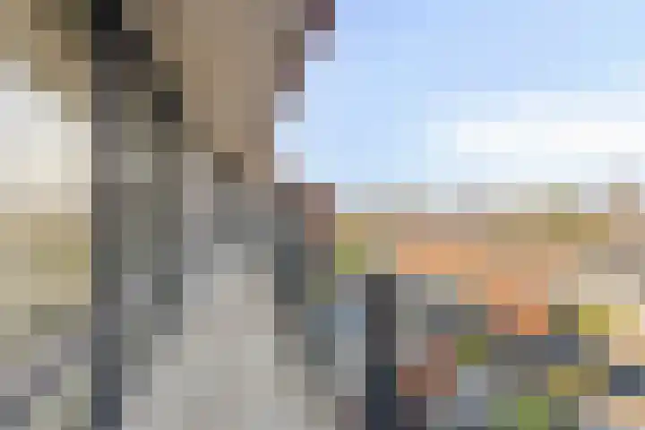 Oude Bredaseweg 54 A Etten-Leur thumbnail 8