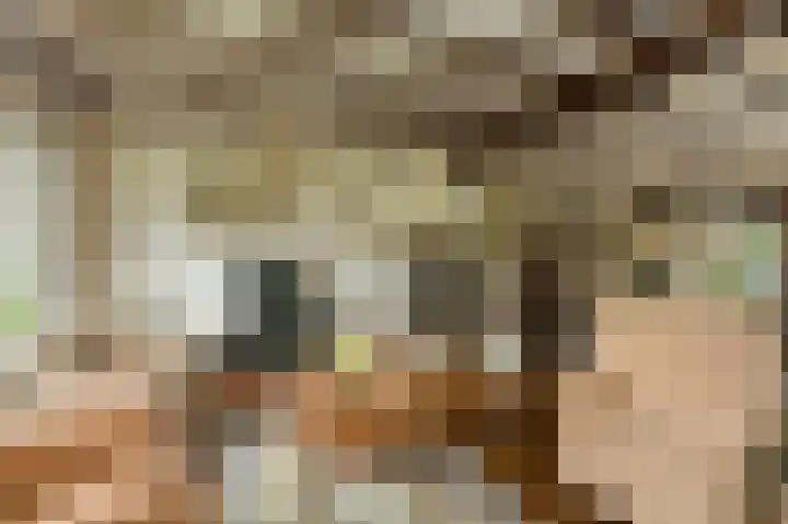 Oude Bredaseweg 6 Bavel thumbnail 10