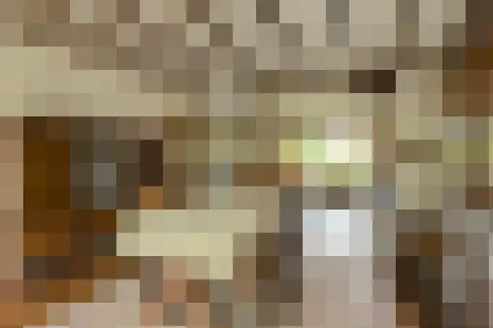 Oude Bredaseweg 6 Bavel thumbnail 15