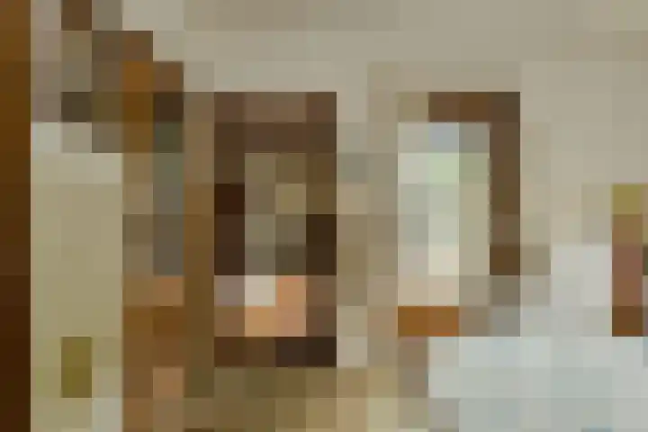 Oude Bredaseweg 6 Bavel thumbnail 18