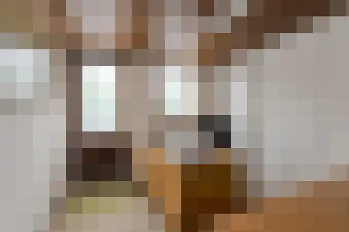 Oude Bredaseweg 6 Bavel thumbnail 31