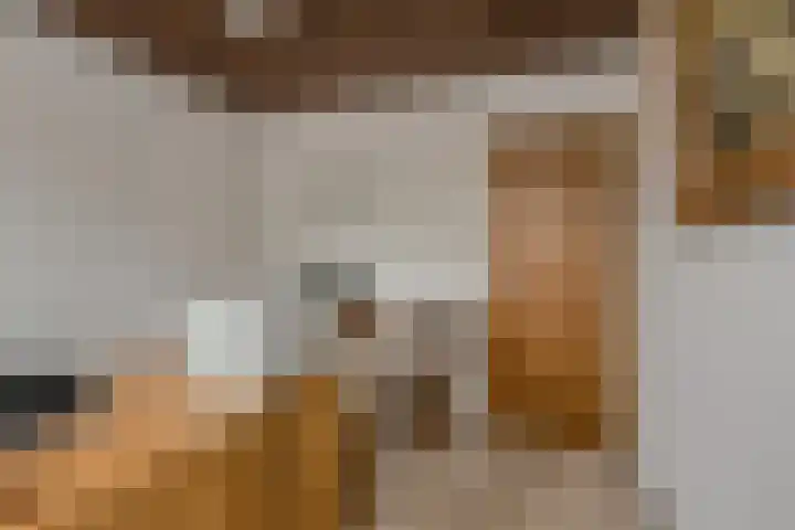 Oude Bredaseweg 6 Bavel thumbnail 32