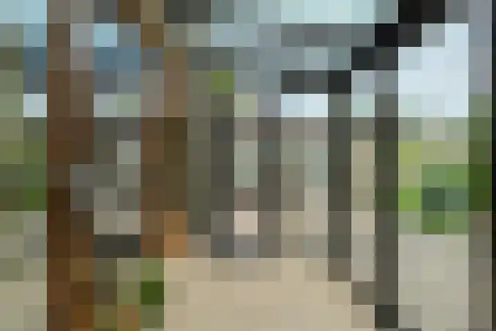Oude Bredaseweg 6 Bavel thumbnail 39