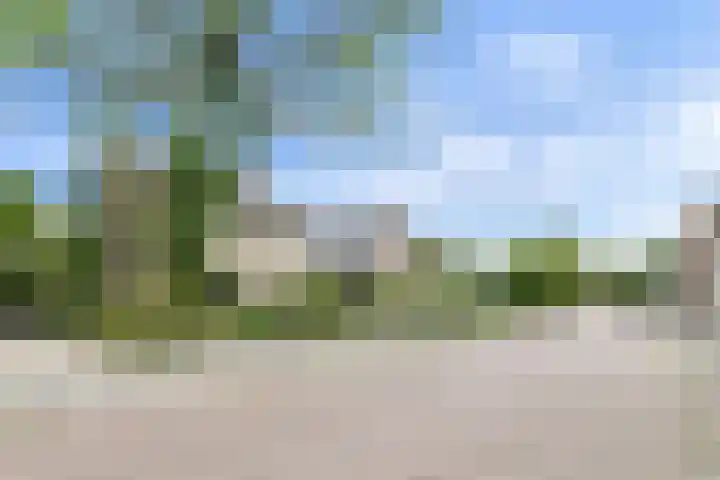 Oude Bredaseweg 6 Bavel thumbnail 4