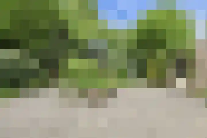 Oude Bredaseweg 6 Bavel thumbnail 40