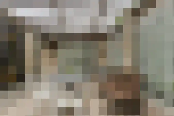 Oude Bredaseweg 6 Bavel thumbnail 43