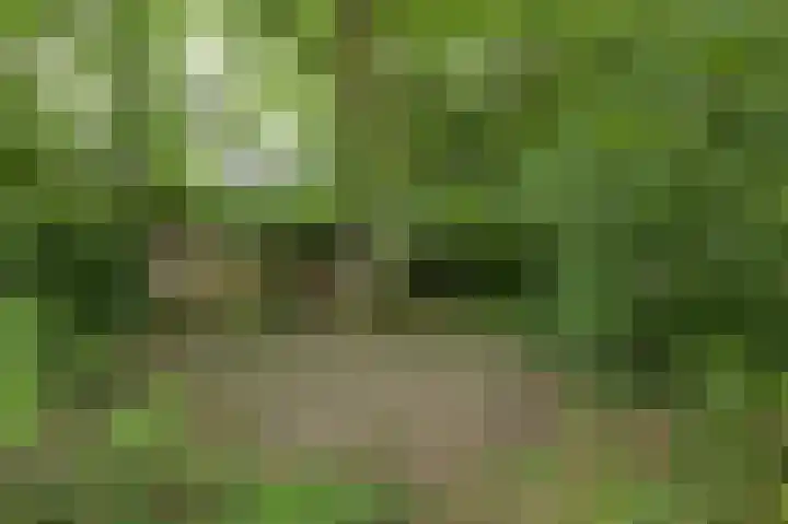 Oude Bredaseweg 6 Bavel thumbnail 45