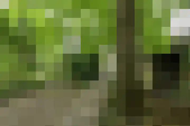 Oude Bredaseweg 6 Bavel thumbnail 46