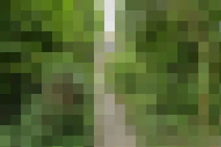 Oude Bredaseweg 6 Bavel thumbnail 47