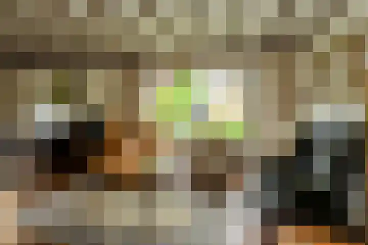 Oude Bredaseweg 6 Bavel thumbnail 5