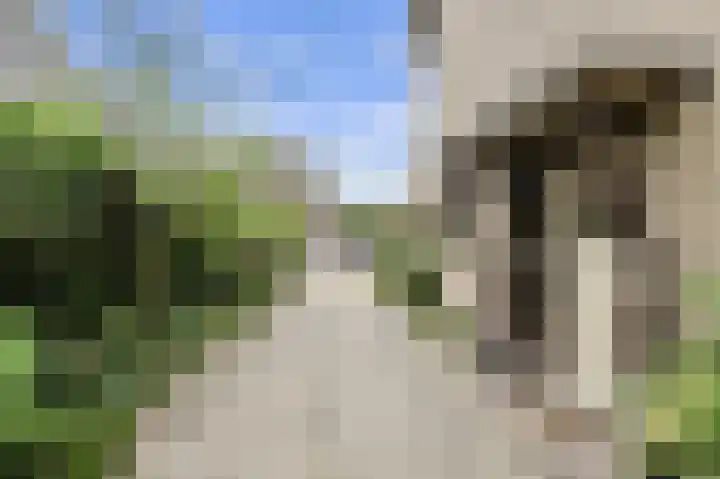 Oude Bredaseweg 6 Bavel thumbnail 51