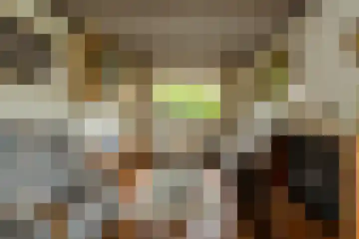 Oude Bredaseweg 6 Bavel thumbnail 7