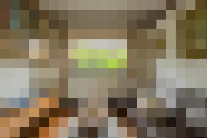 Oude Bredaseweg 6 Bavel thumbnail 8