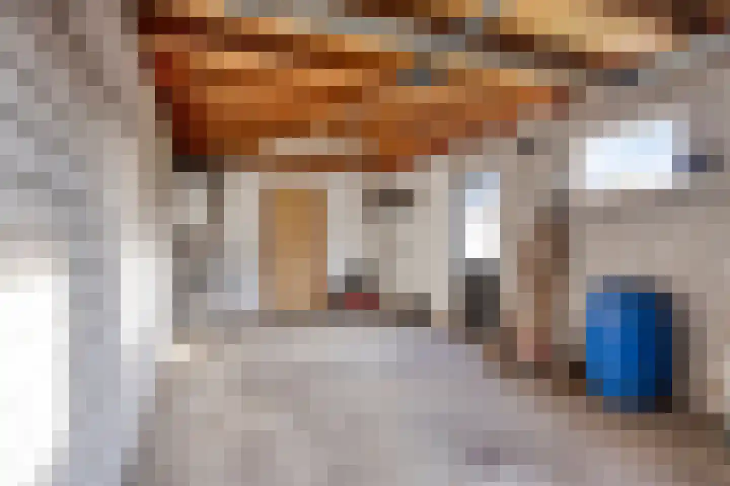 Oude Breestraat 5 Sint Anthonis thumbnail 35