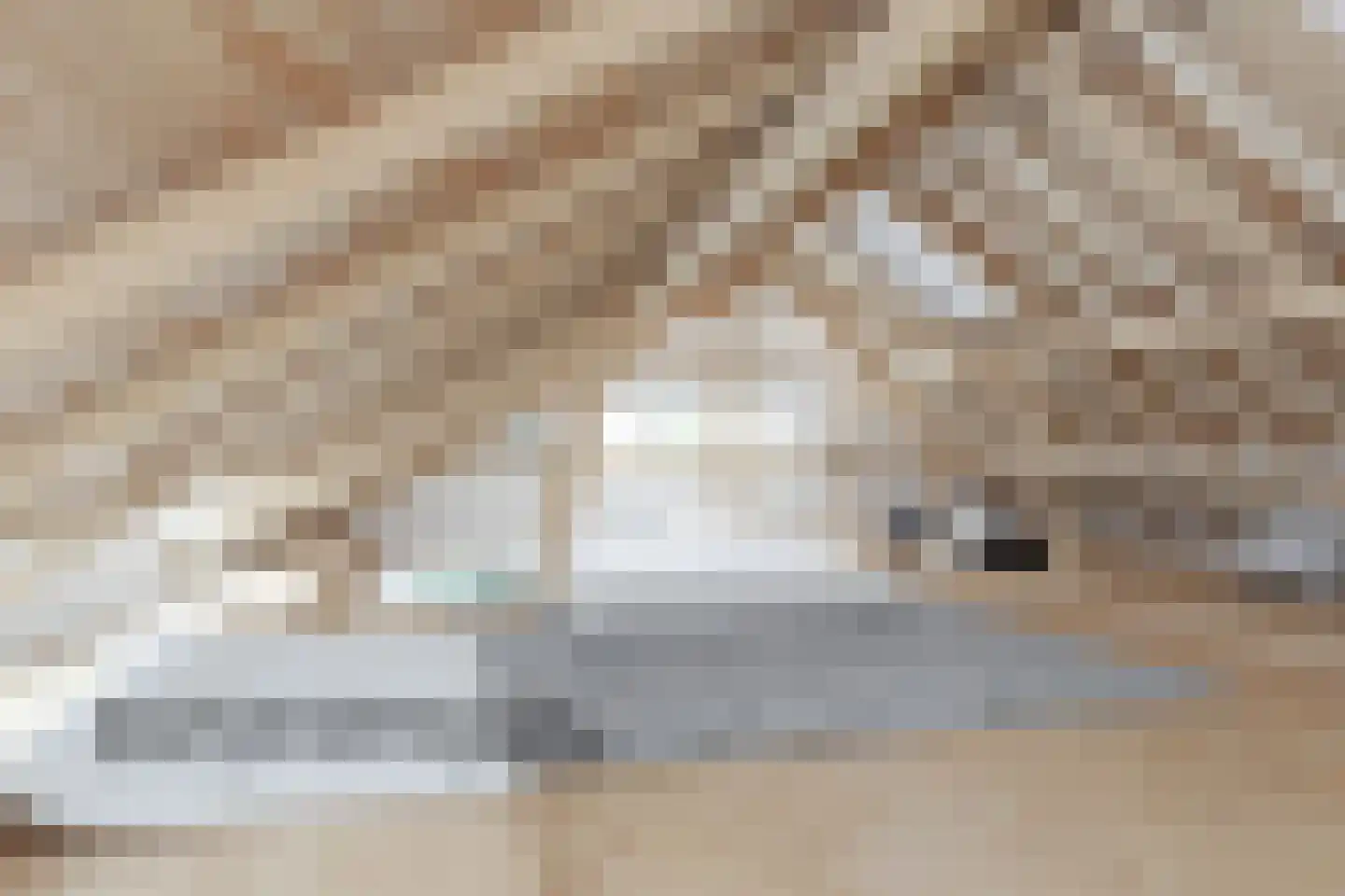 Oude Breestraat 5 Sint Anthonis thumbnail 6