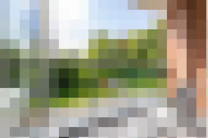 Oude Brinkweg 21 Haren Gn thumbnail 15