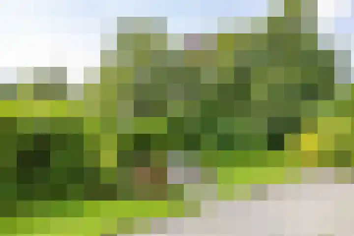 Oude Brinkweg 21 Haren Gn thumbnail 16