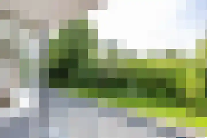 Oude Brinkweg 21 Haren Gn thumbnail 18