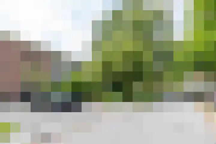 Oude Brinkweg 21 Haren Gn thumbnail 30