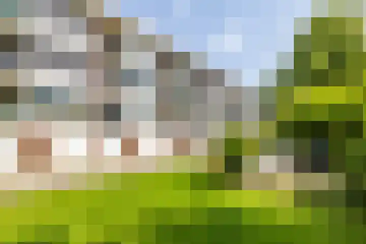 Oude Brinkweg 21 Haren Gn thumbnail 32