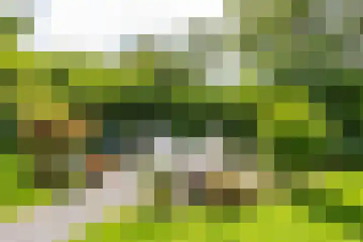 Oude Brinkweg 21 Haren Gn thumbnail 33