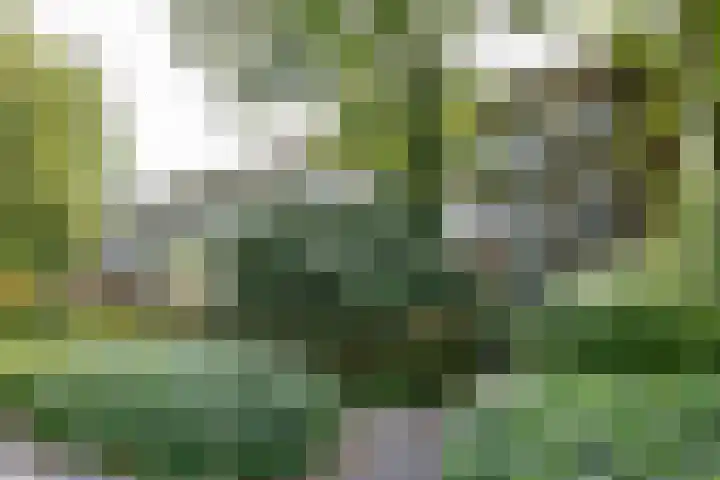 Oude Brinkweg 21 Haren Gn thumbnail 34