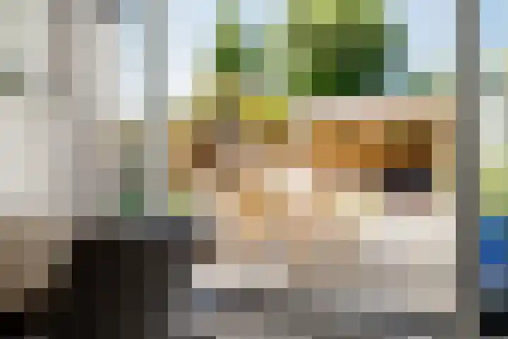 Oude Brinkweg 22 Haren Gn thumbnail 12