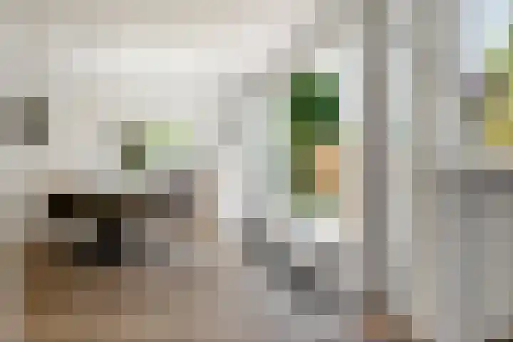 Oude Brinkweg 22 Haren Gn thumbnail 15